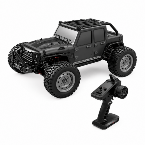 SCY-16103 Gantry 1/16 RC Car – 4WD High-Speed Off-Road Truck – India (Black)